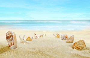 Principales desarrollos inmobiliarios en Cancún_abraham cababie daniel