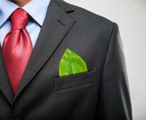 Los mejores sistemas de construcción sustentable